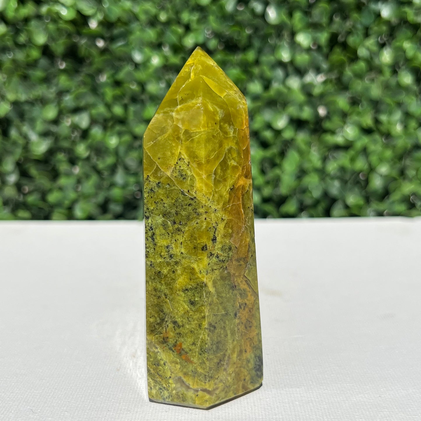 Kiwi Opal Tower