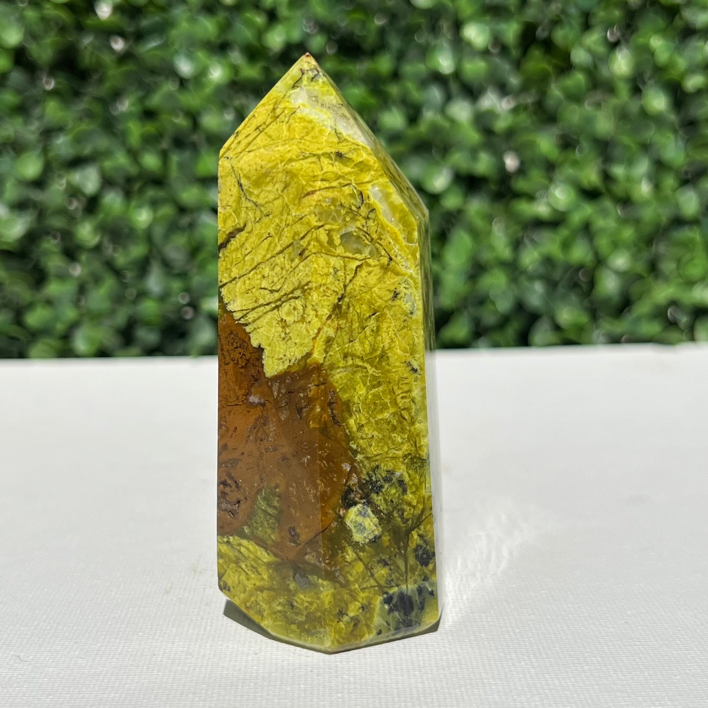 Kiwi Opal Tower