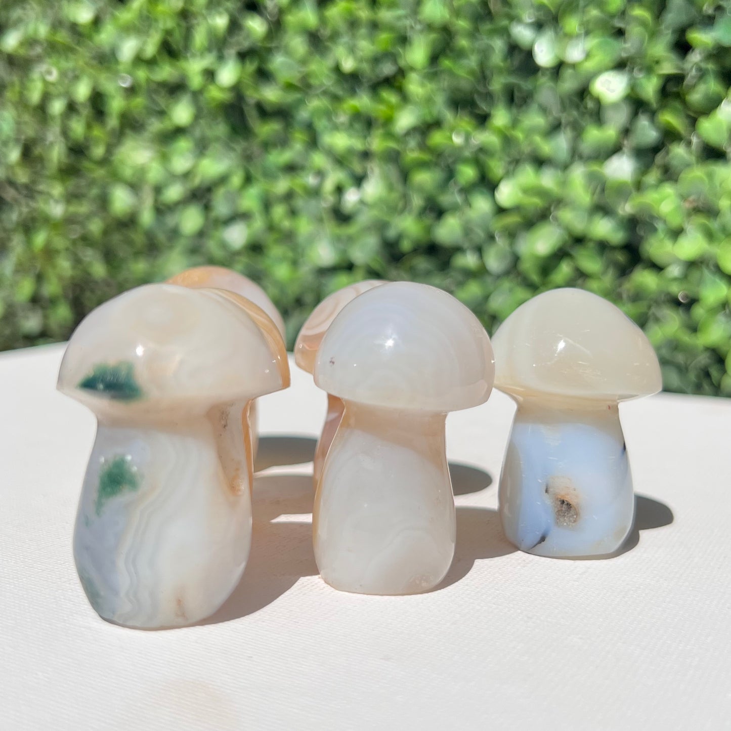 Agate Small Mushroom’s