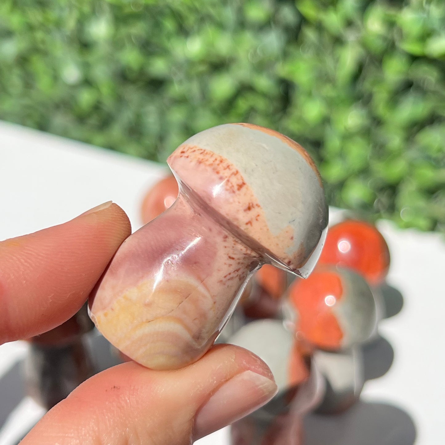 Polychrome Desert Japser Small Mushroom’s
