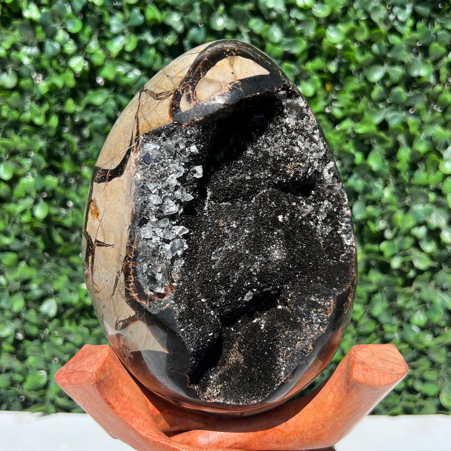 Septarian Dragon Stone Egg