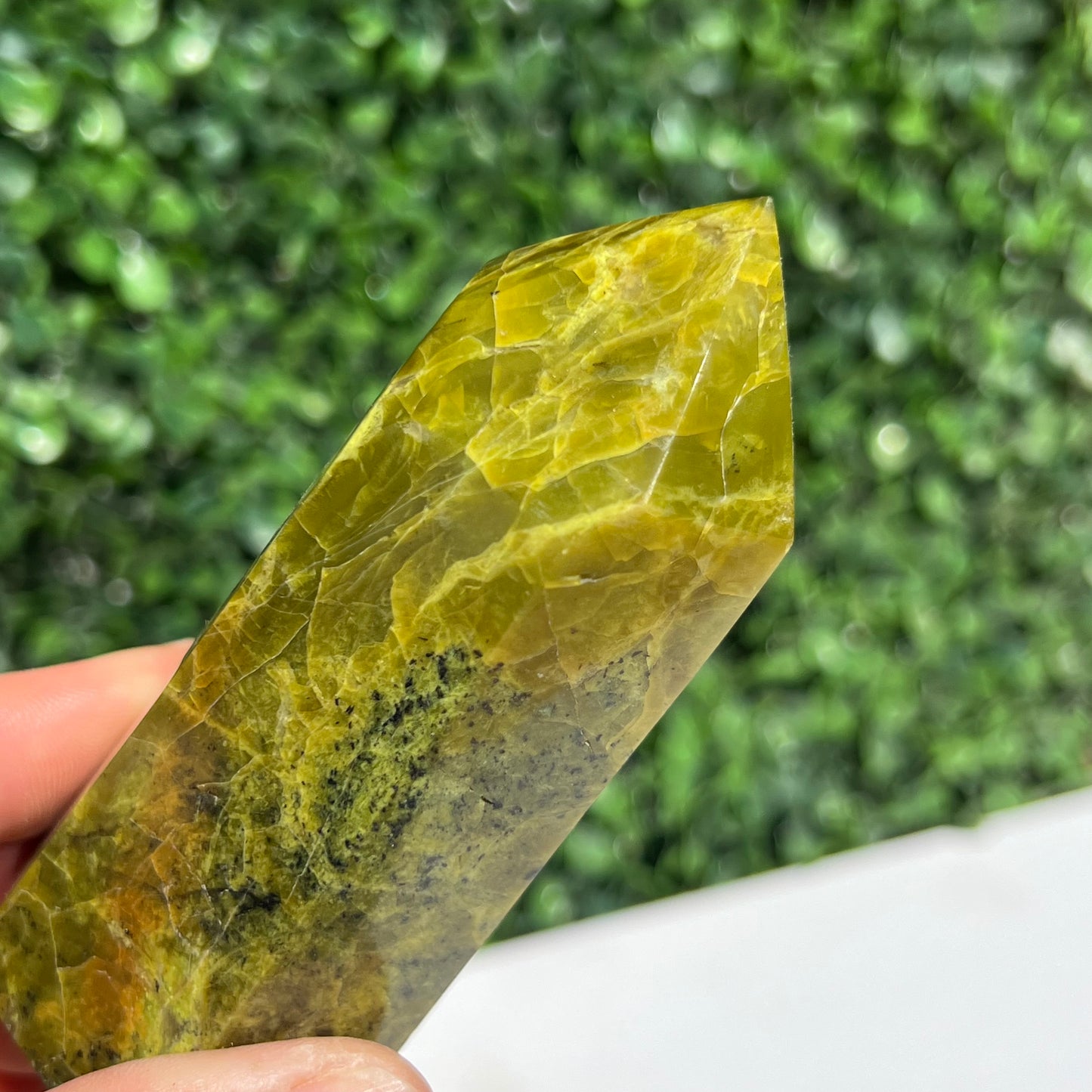 Kiwi Opal Tower
