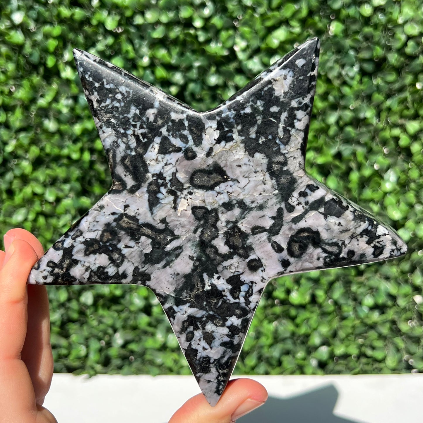 Mystic Merlinite Gabbro Star