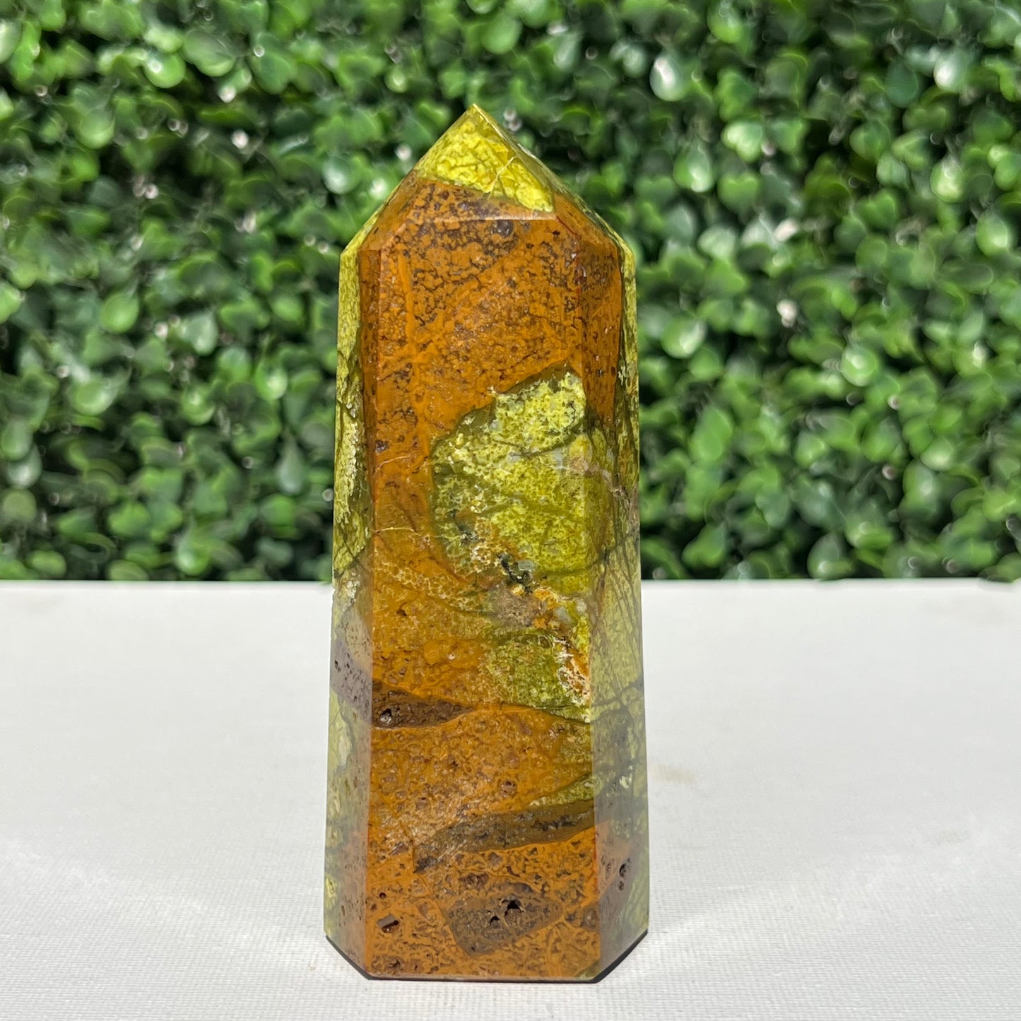 Kiwi Opal Tower