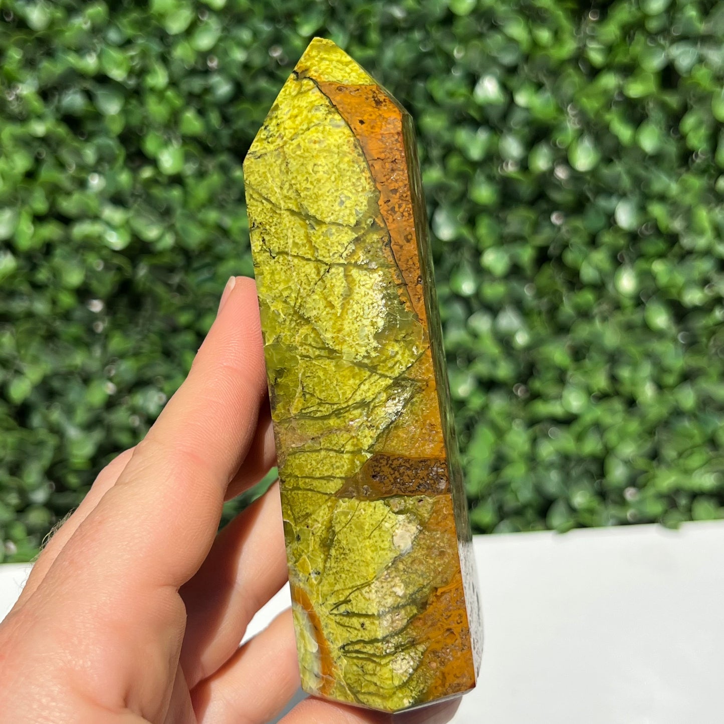 Kiwi Opal Tower