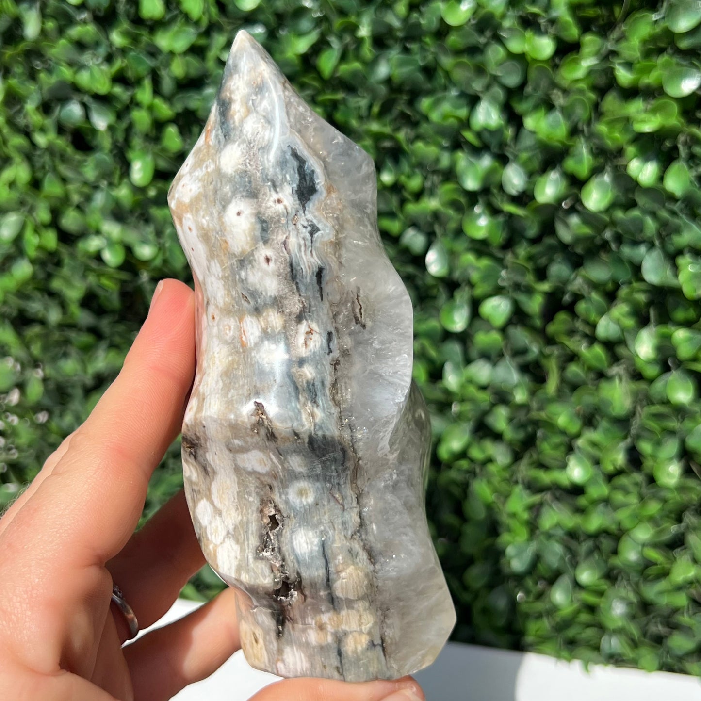 Ocean Jasper Flame