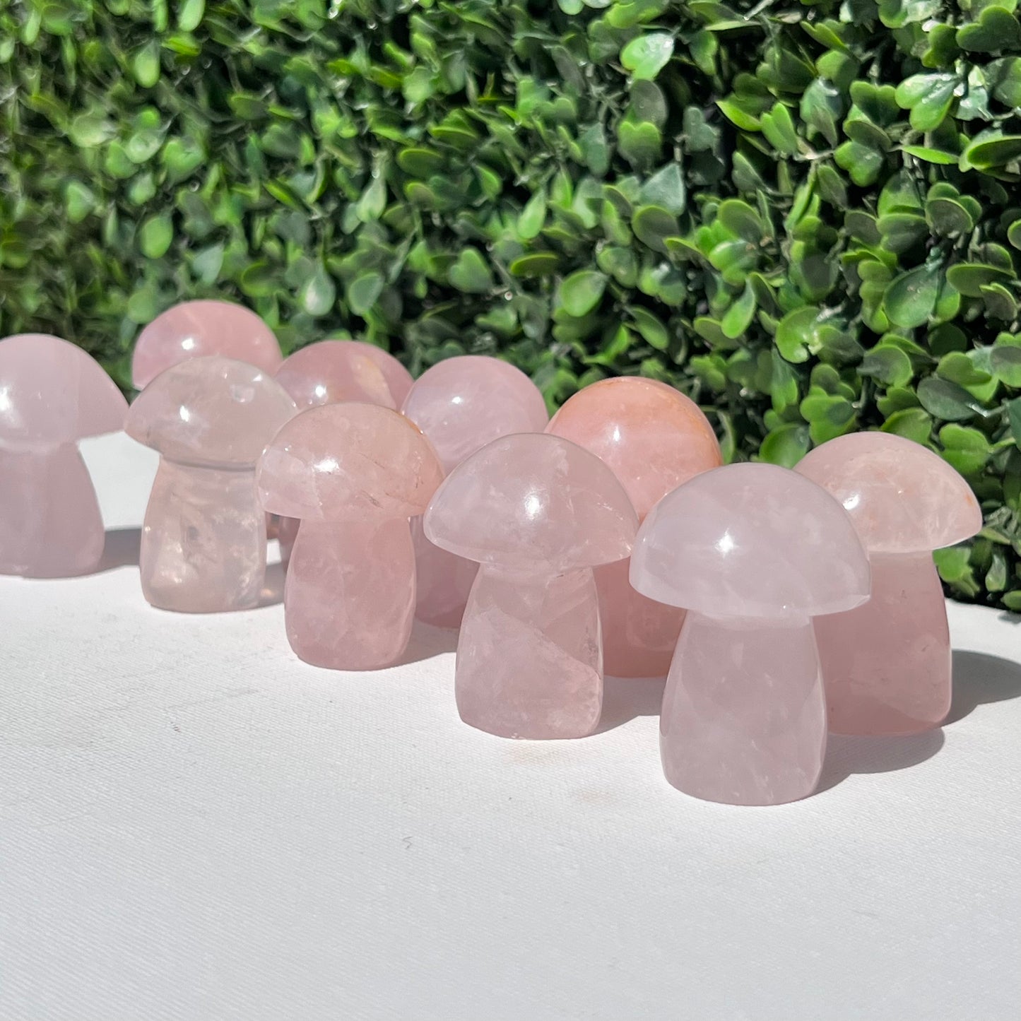 Rose Quartz Small Mushroom’s