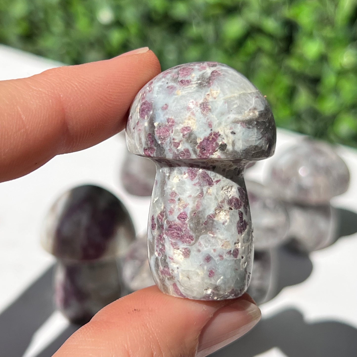 Eudialyte Rubellite Small Mushroom’s