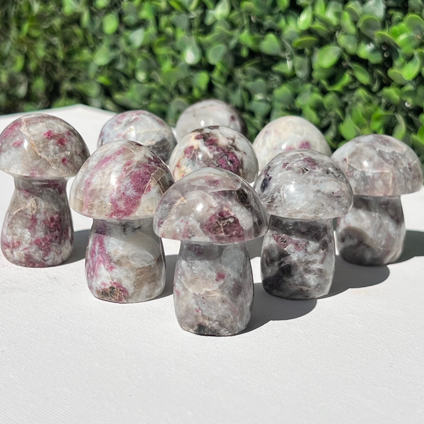 Eudialyte Rubellite Small Mushroom’s