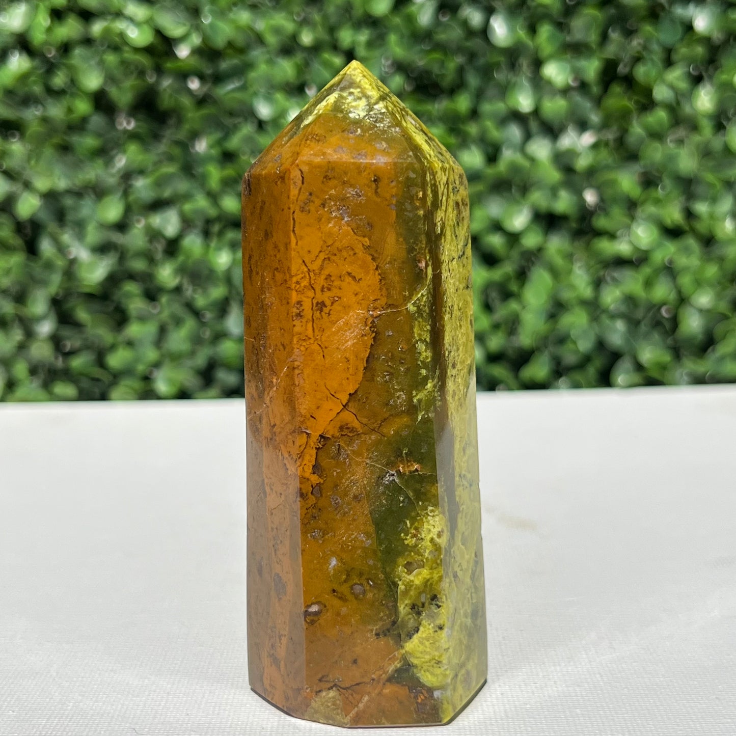 Kiwi Opal Tower