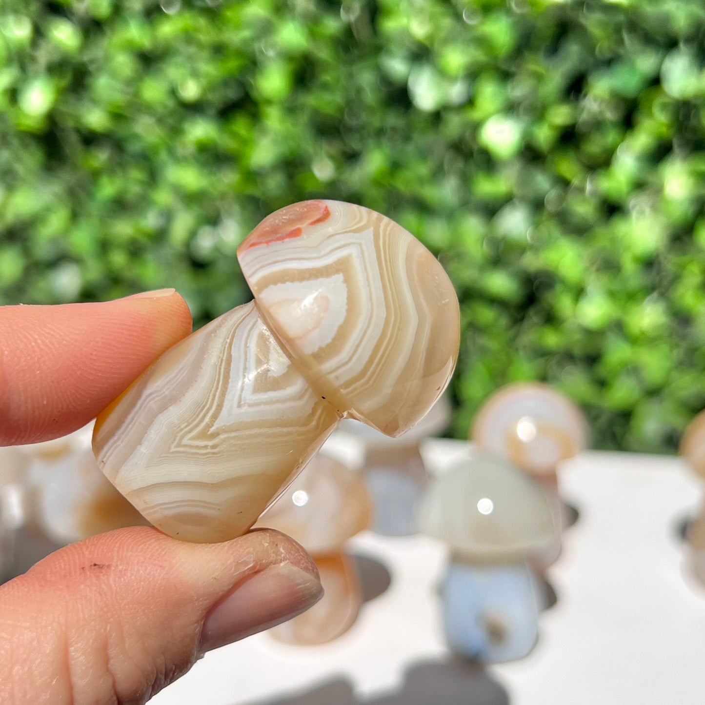 Agate Small Mushroom’s