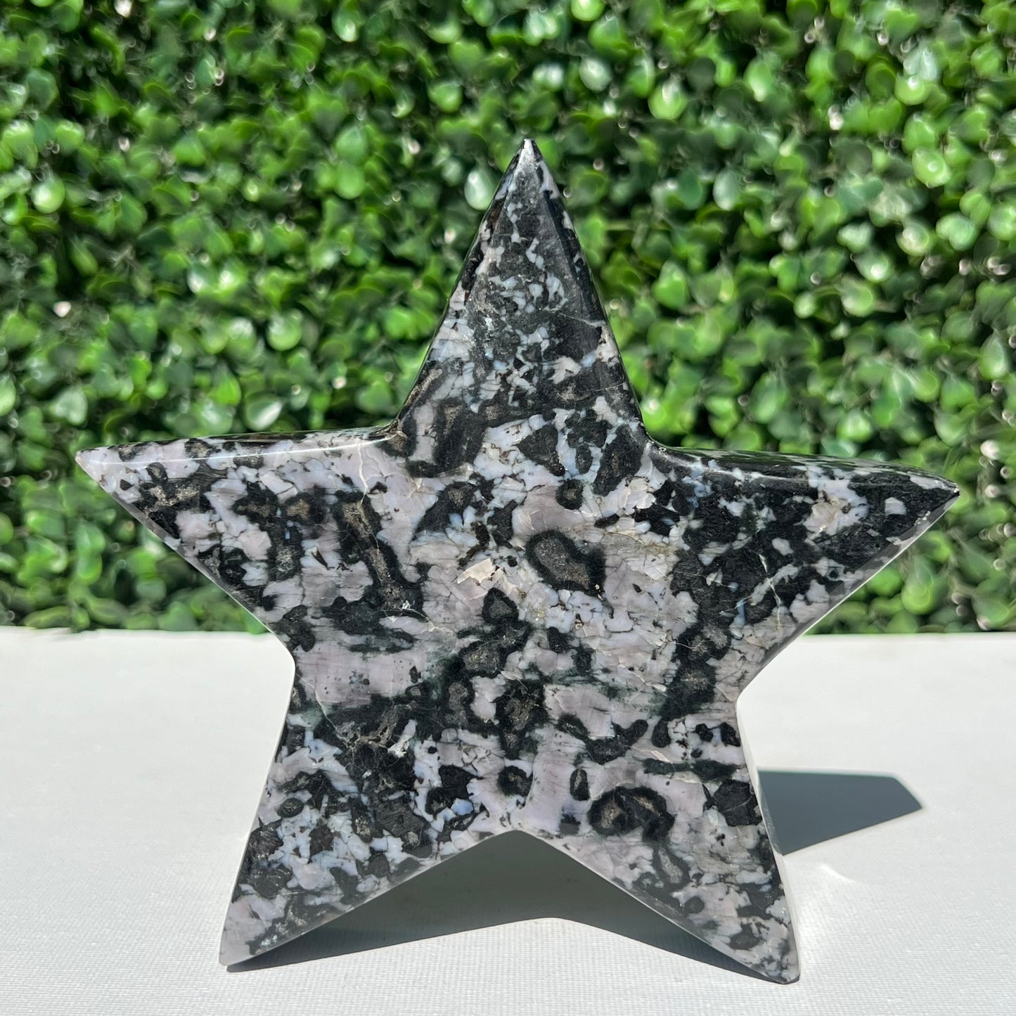 Mystic Merlinite Gabbro Star