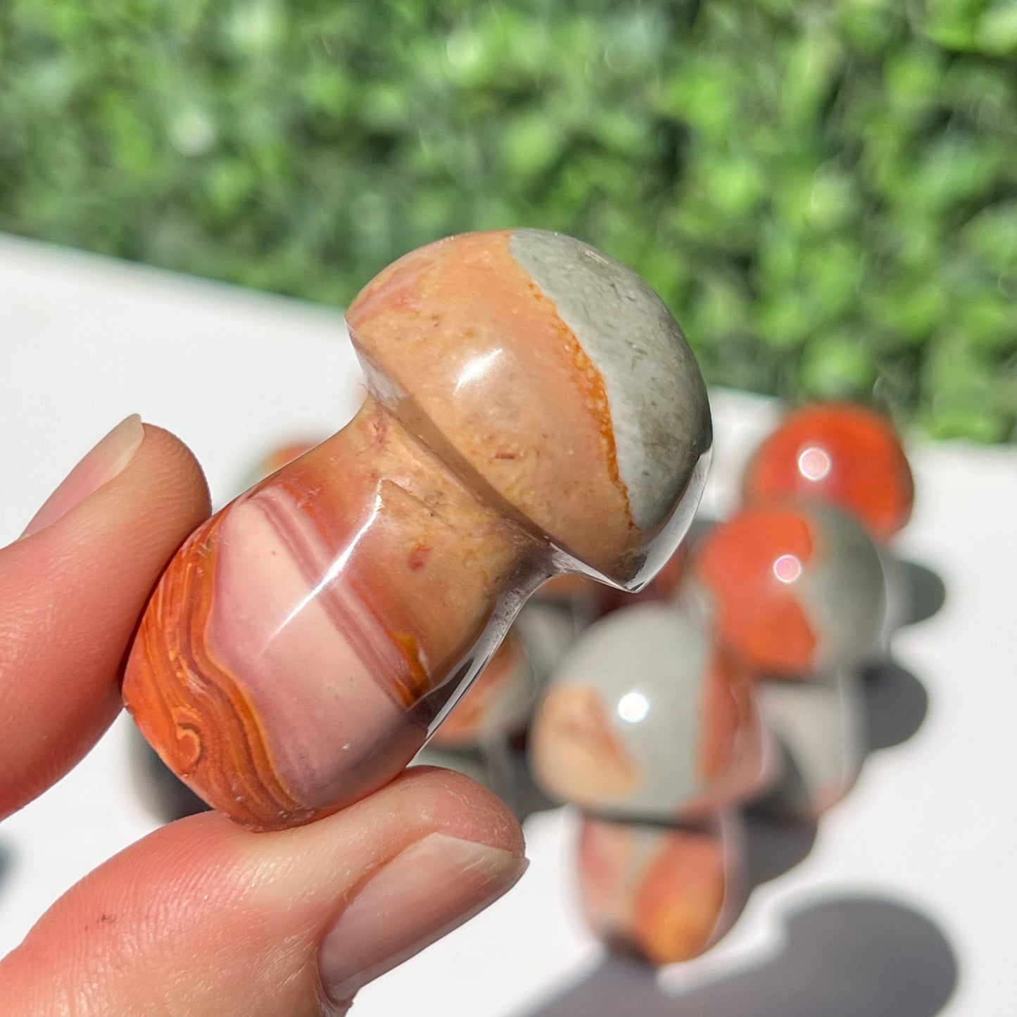 Polychrome Desert Japser Small Mushroom’s