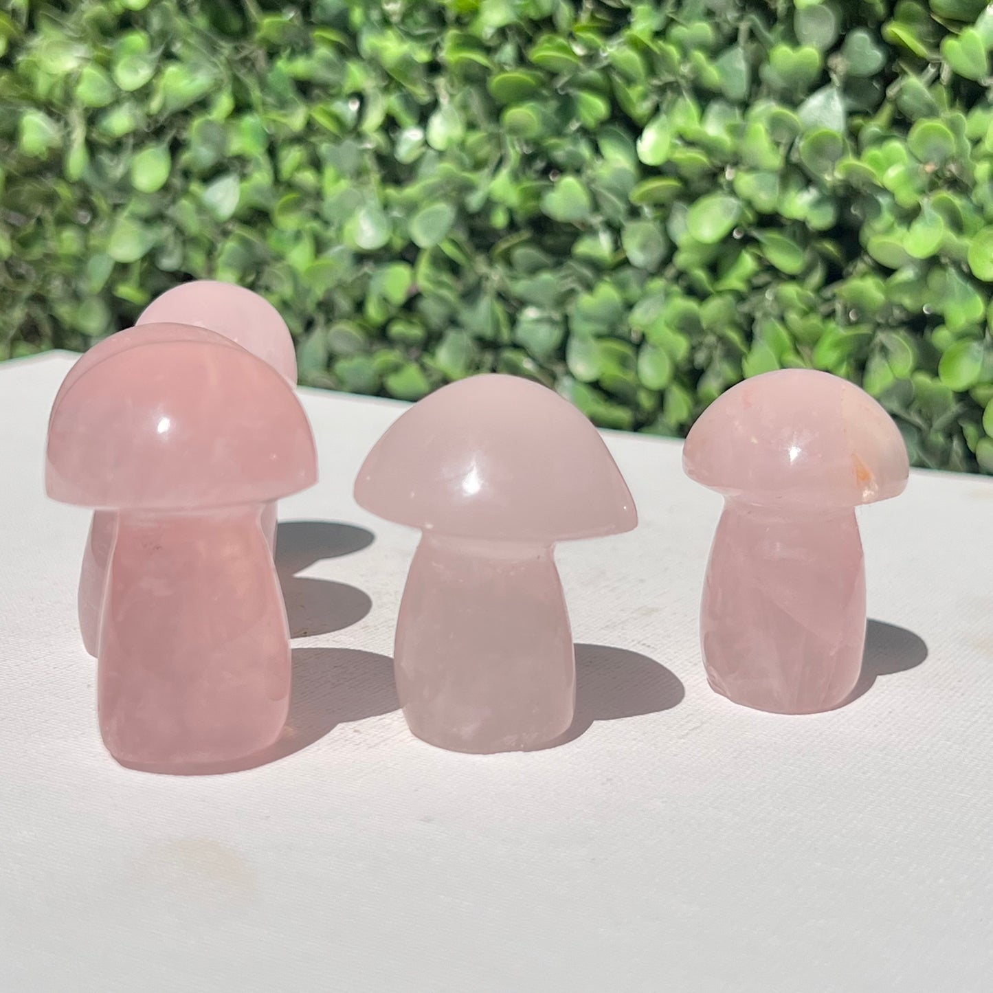 Rose Quartz Small Mushroom’s