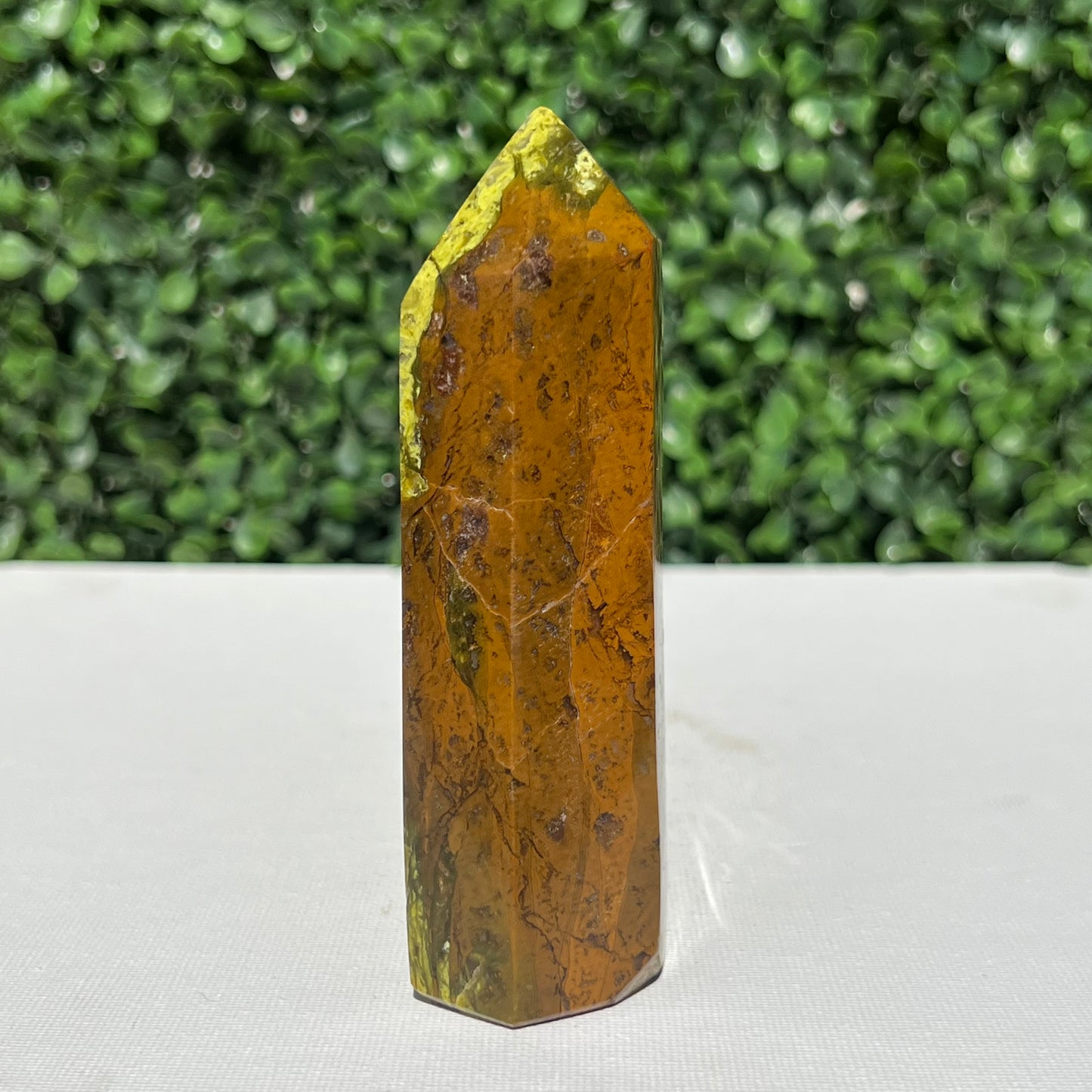Kiwi Opal Tower