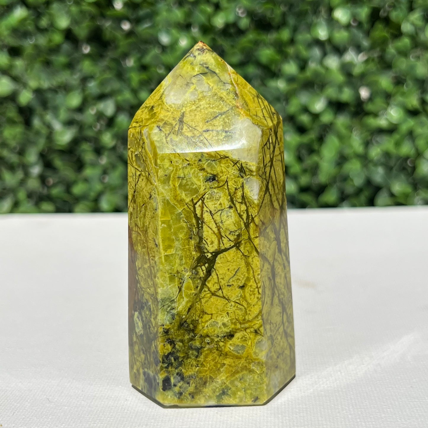 Kiwi Opal Tower