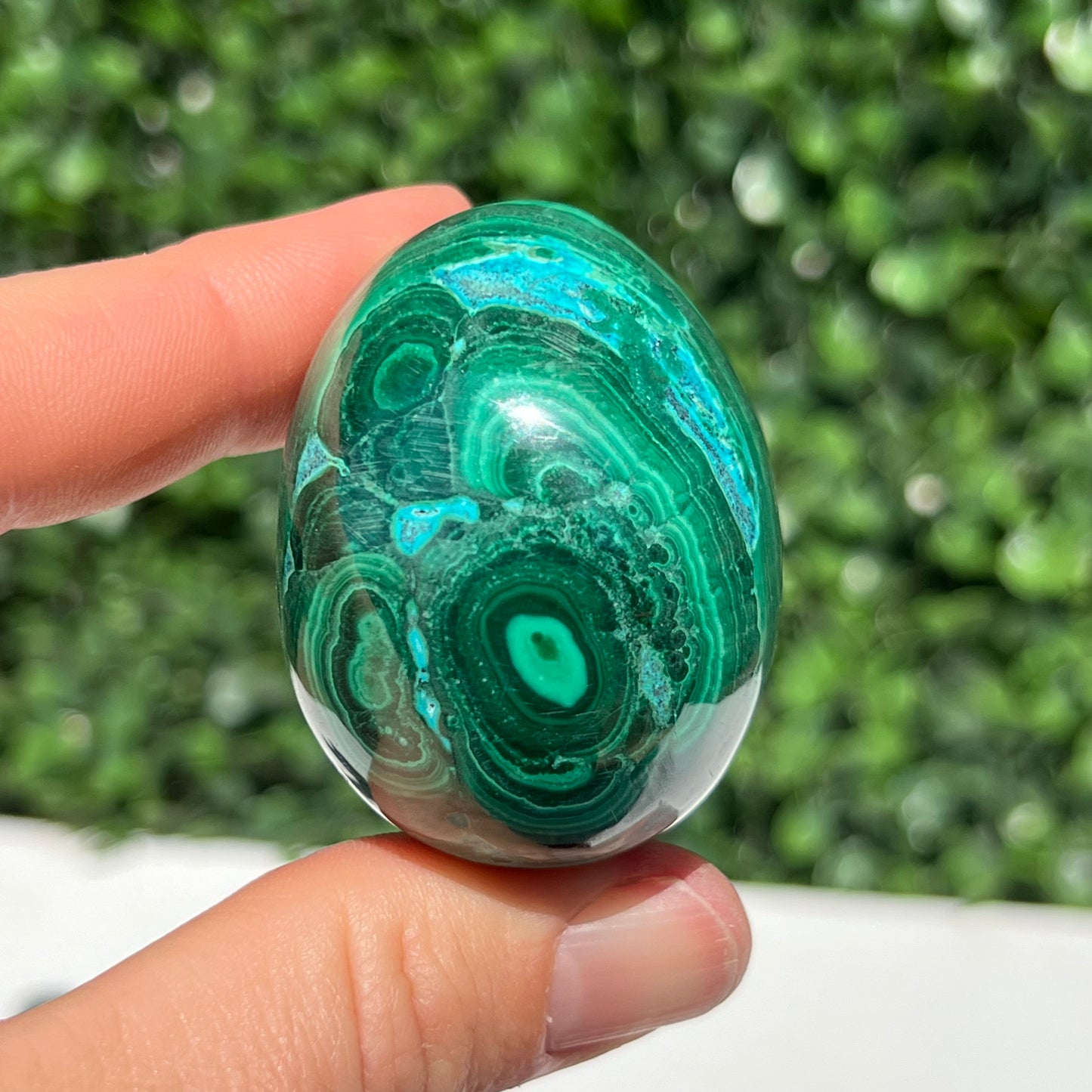 Chrysocolla Malachite Egg