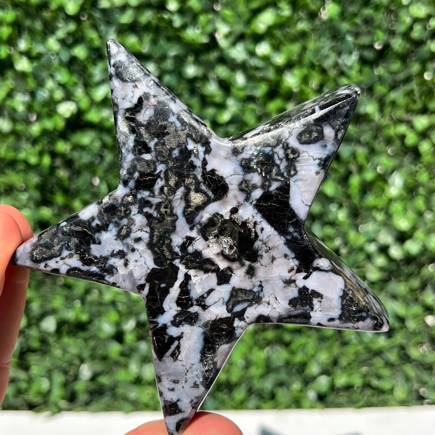 Mystic Merlinite Gabbro Star