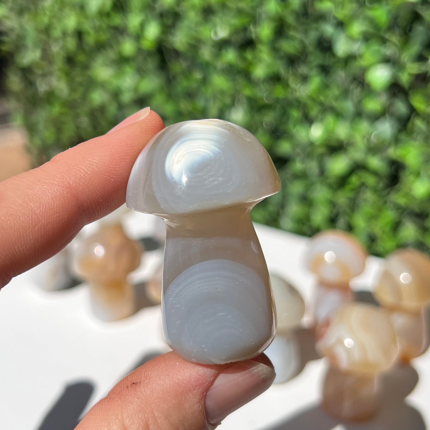 Agate Small Mushroom’s