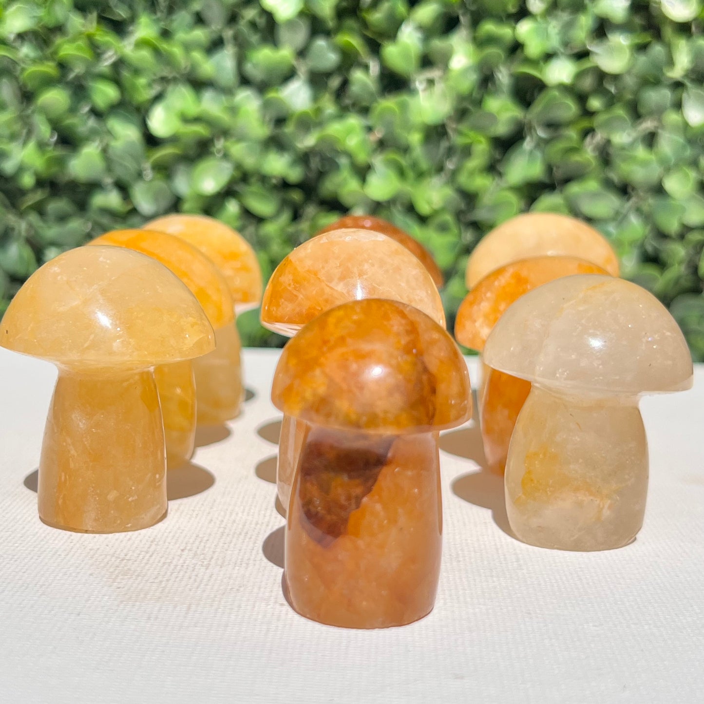 Golden Healer Quartz Small Mushroom’s