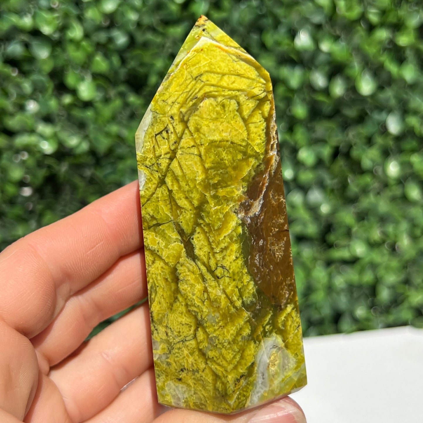 Kiwi Opal Tower