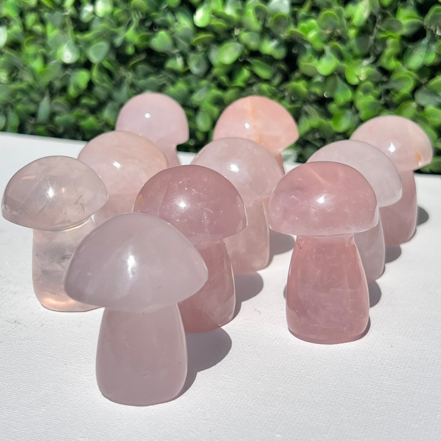 Rose Quartz Small Mushroom’s