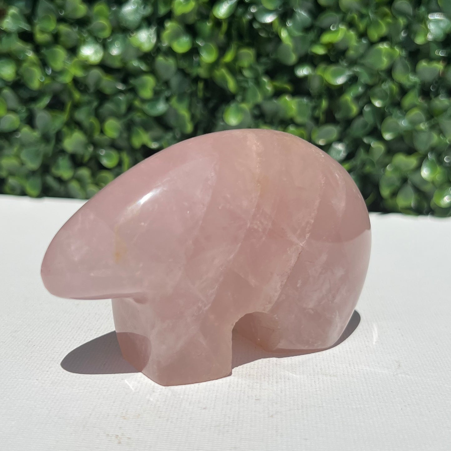 Rose Quartz Wombat