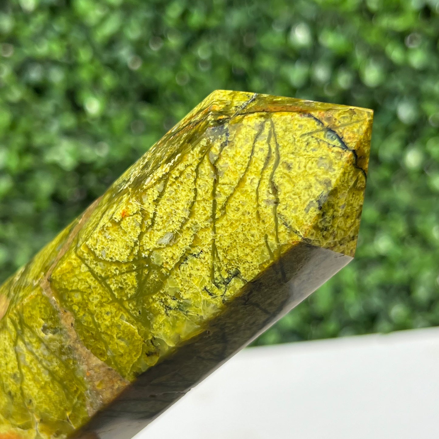 Kiwi Opal Tower