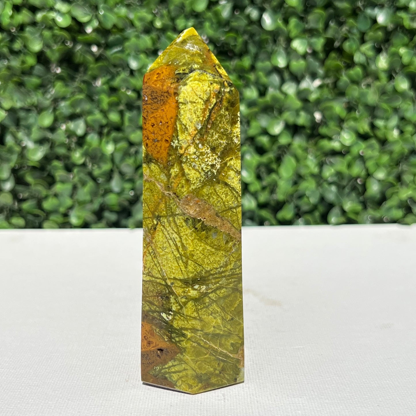 Kiwi Opal Tower