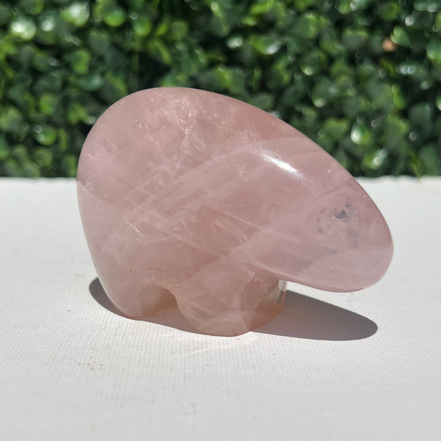 Rose Quartz Wombat