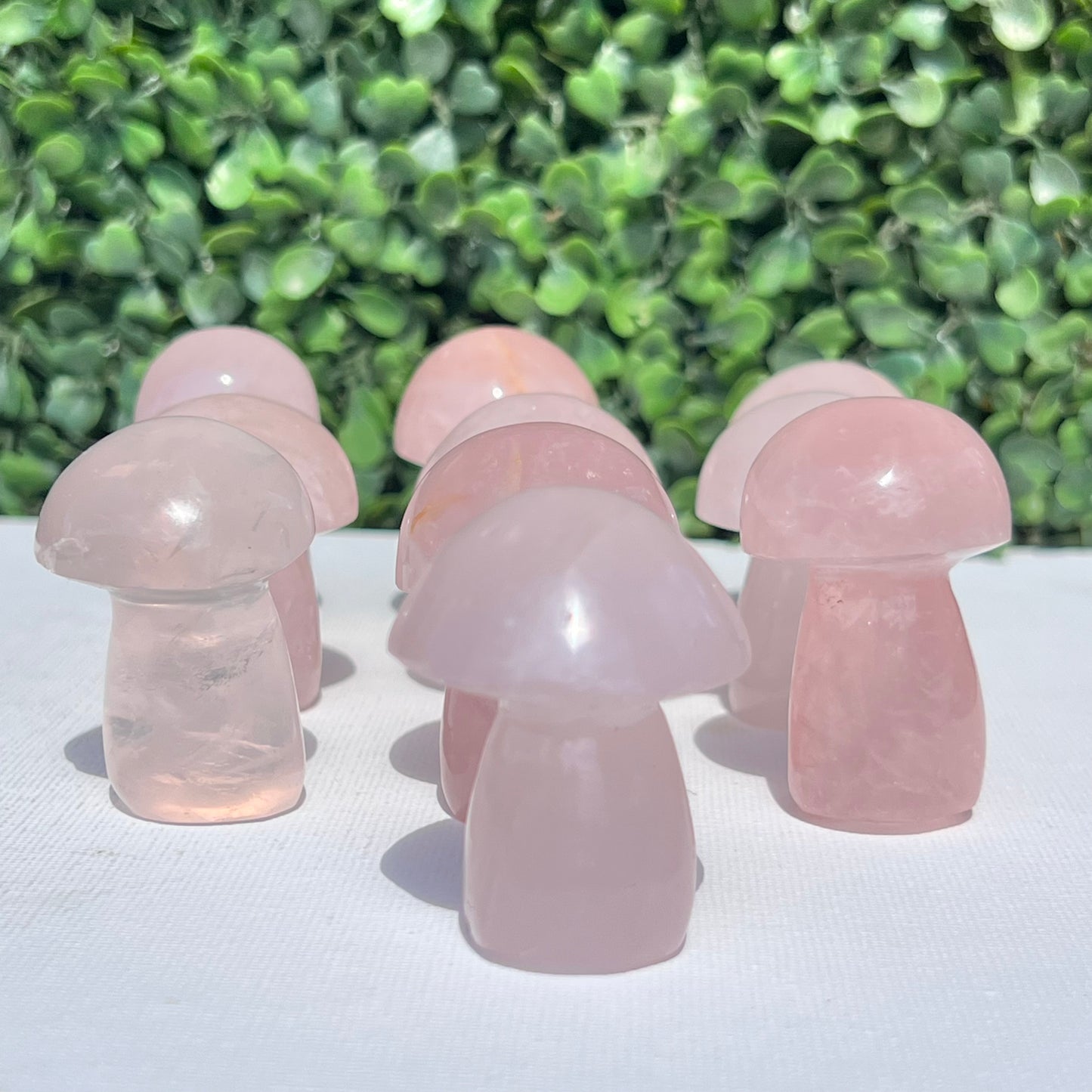 Rose Quartz Small Mushroom’s