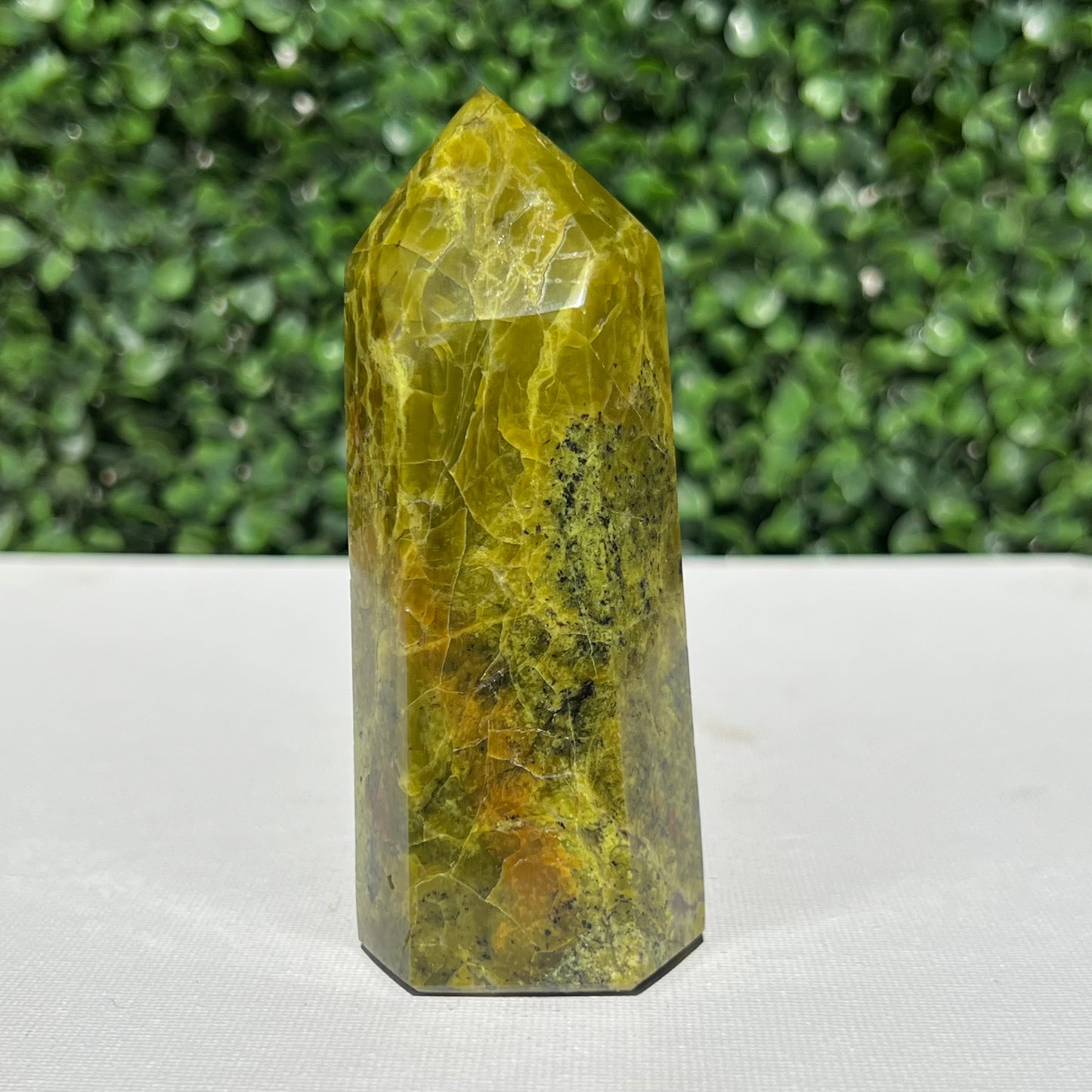 Kiwi Opal Tower