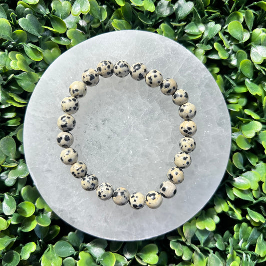 Dalmation Jasper Bracelet - 8mm