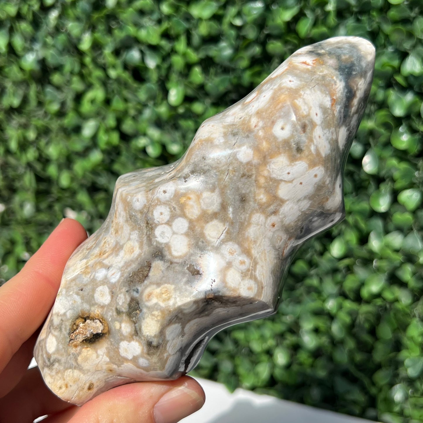Ocean Jasper Flame