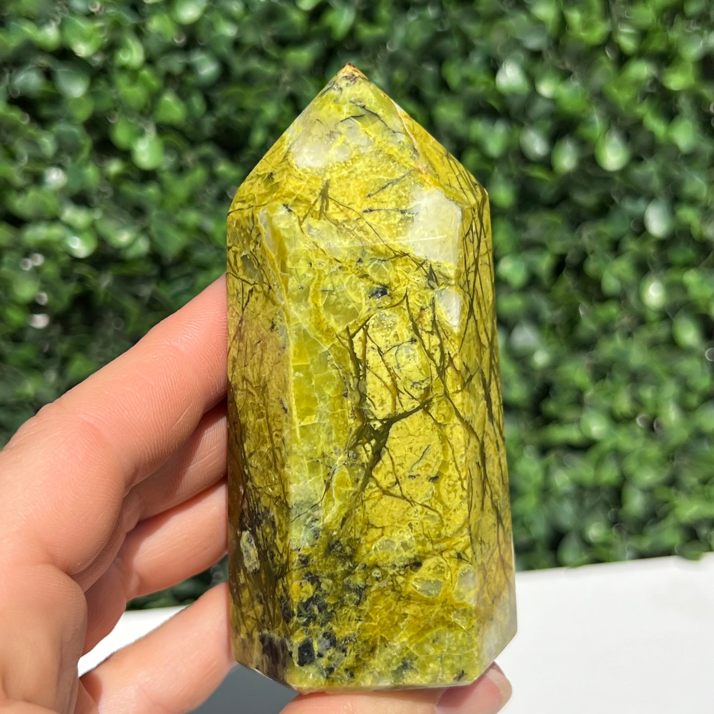 Kiwi Opal Tower
