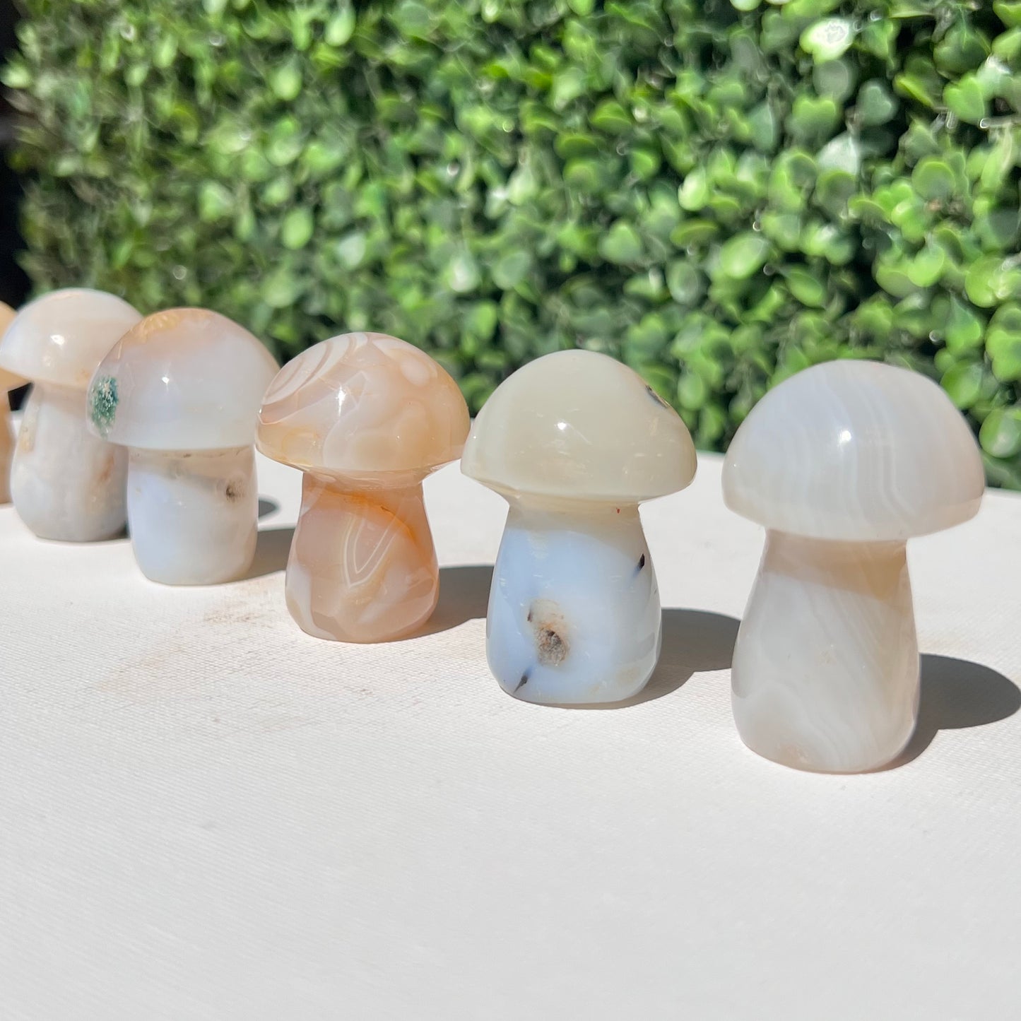 Agate Small Mushroom’s