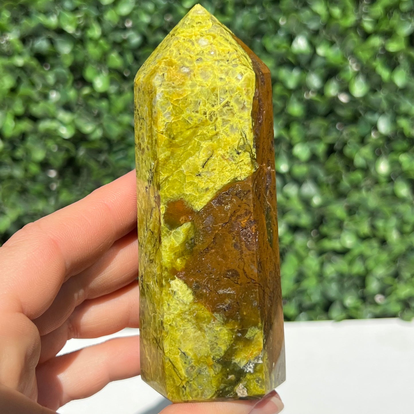 Kiwi Opal Tower