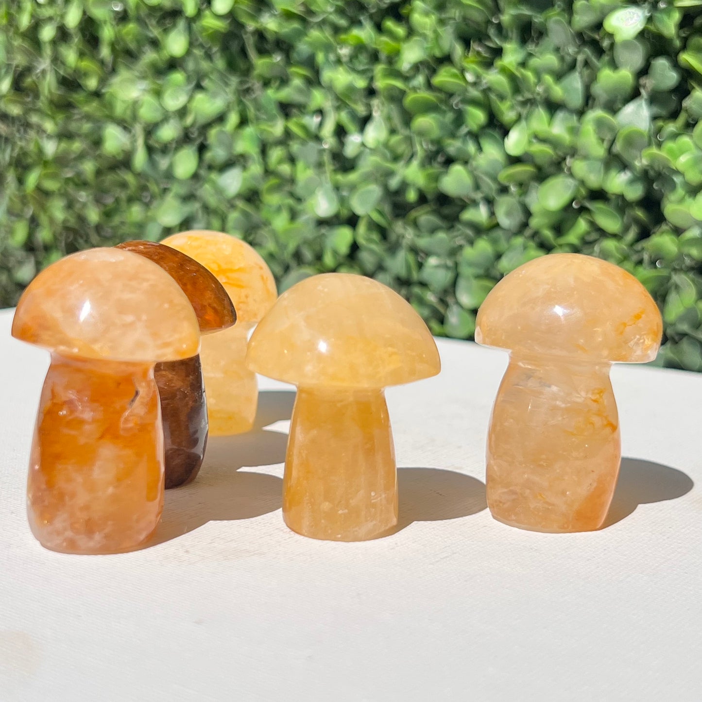 Golden Healer Quartz Small Mushroom’s