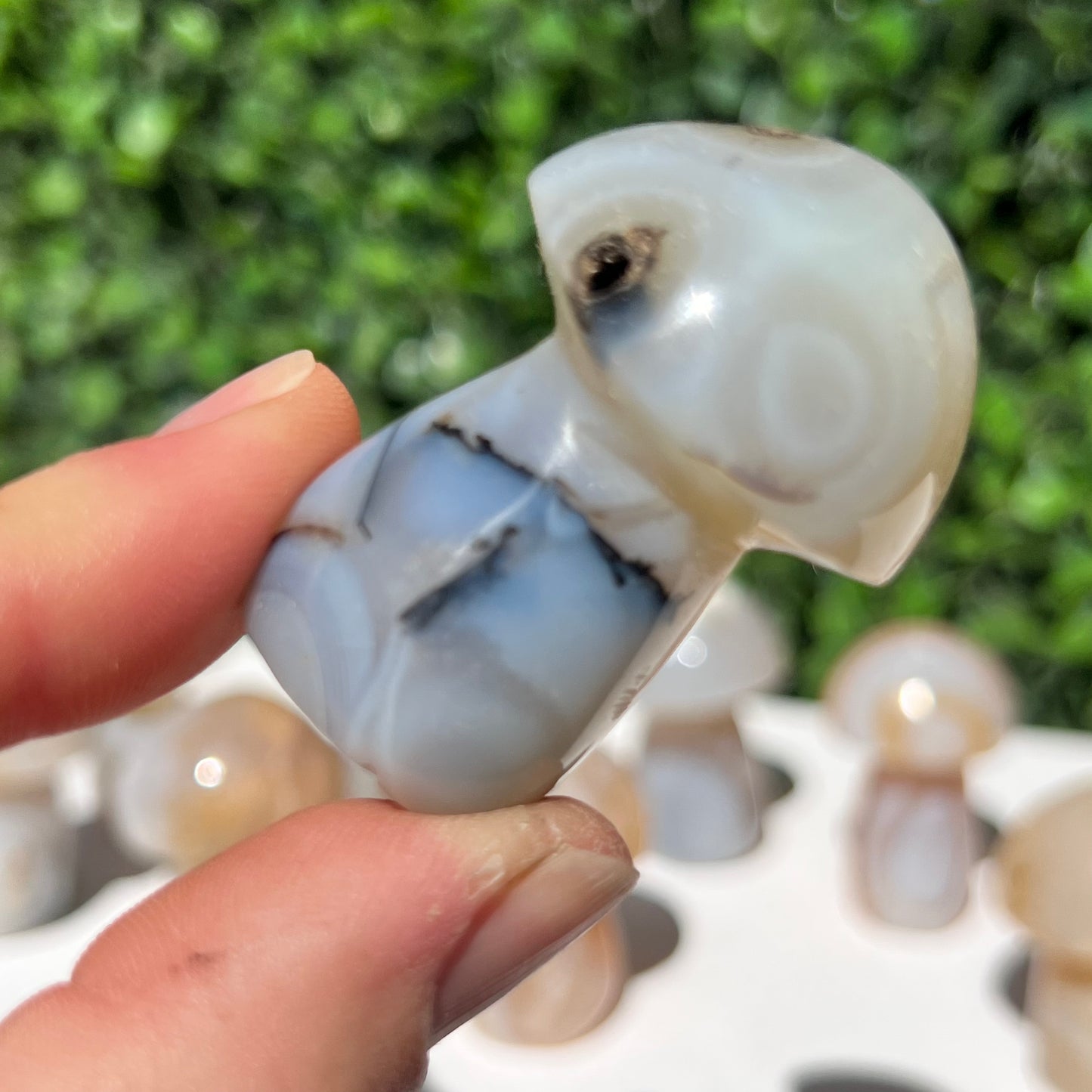 Agate Small Mushroom’s