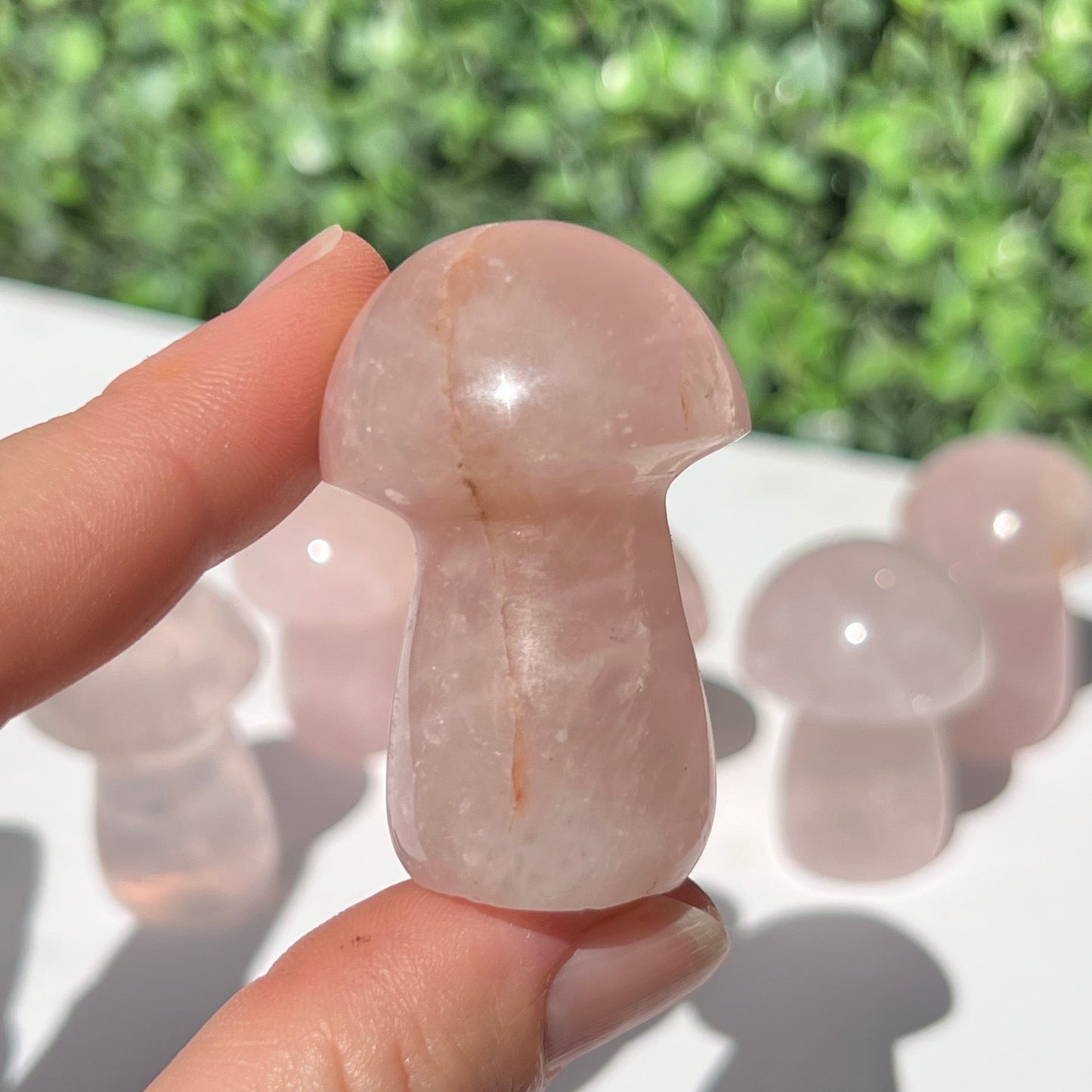 Rose Quartz Small Mushroom’s