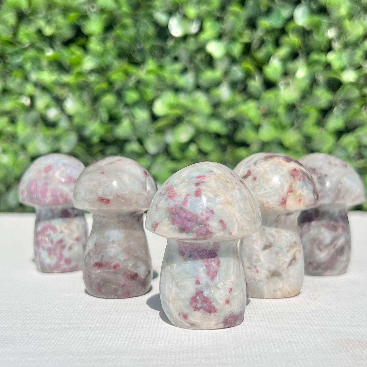 Eudialyte Rubellite Small Mushroom’s