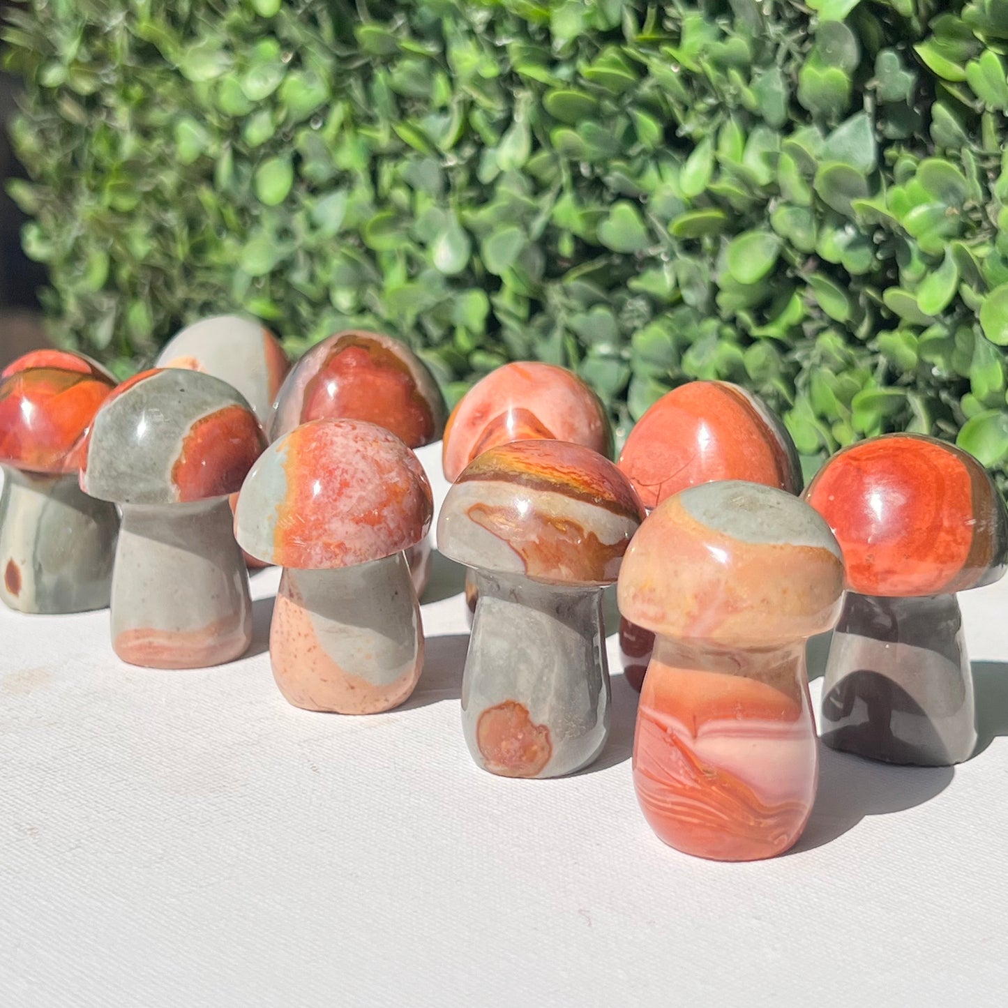 Polychrome Desert Japser Small Mushroom’s
