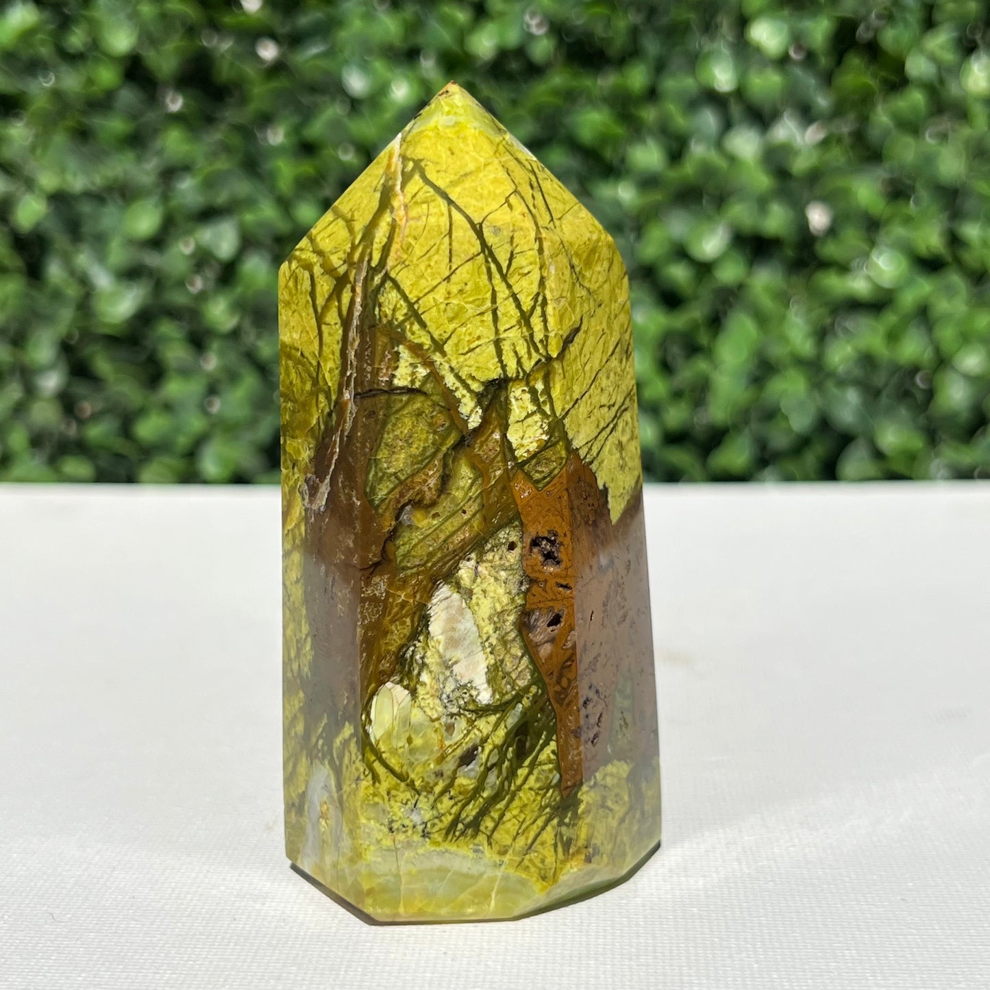 Kiwi Opal Tower