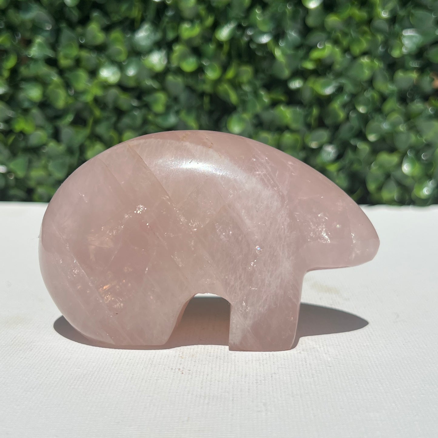 Rose Quartz Wombat