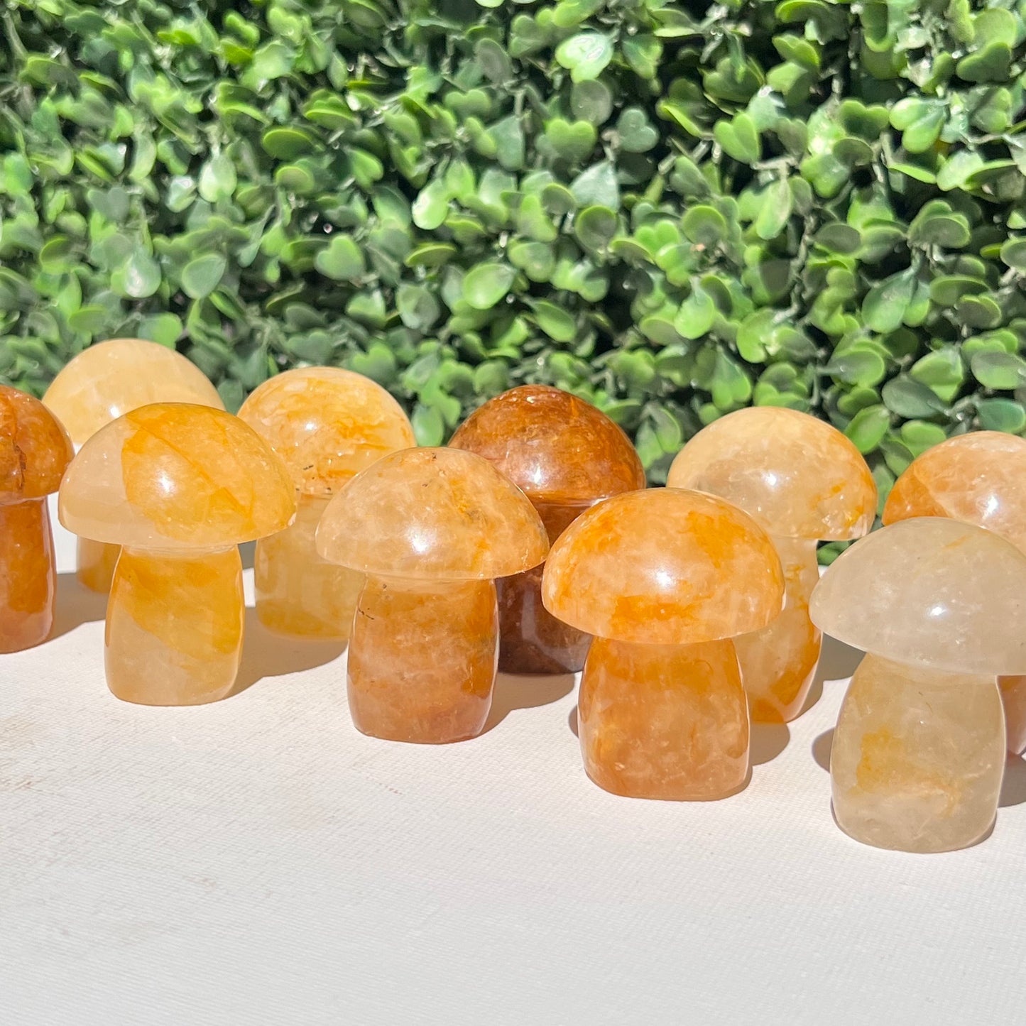 Golden Healer Quartz Small Mushroom’s