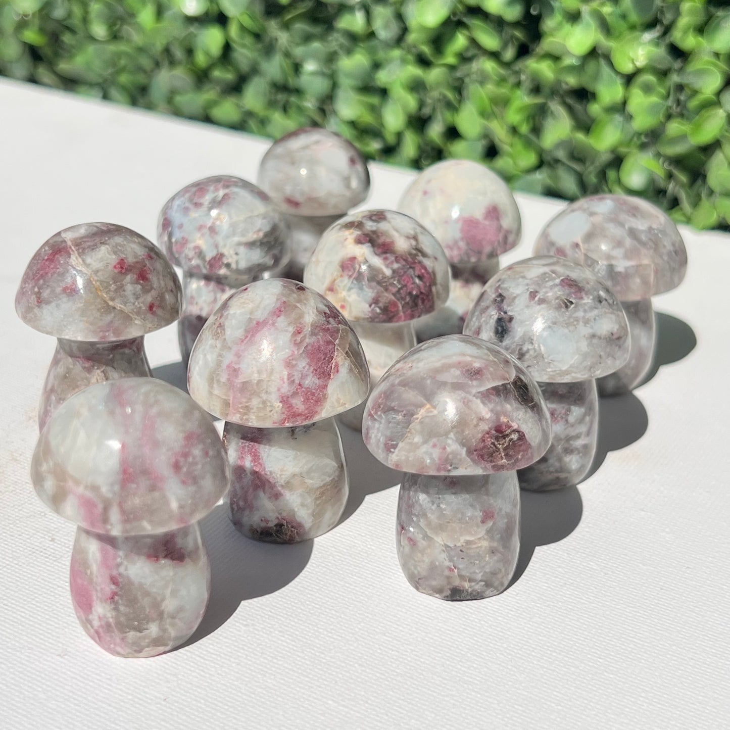 Eudialyte Rubellite Small Mushroom’s