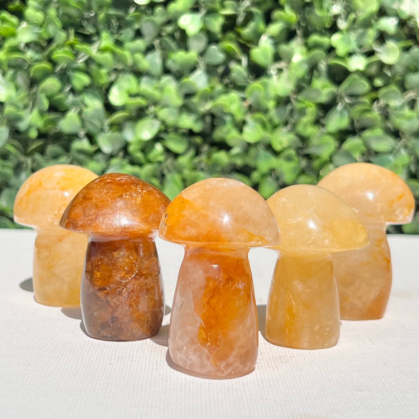 Golden Healer Quartz Small Mushroom’s