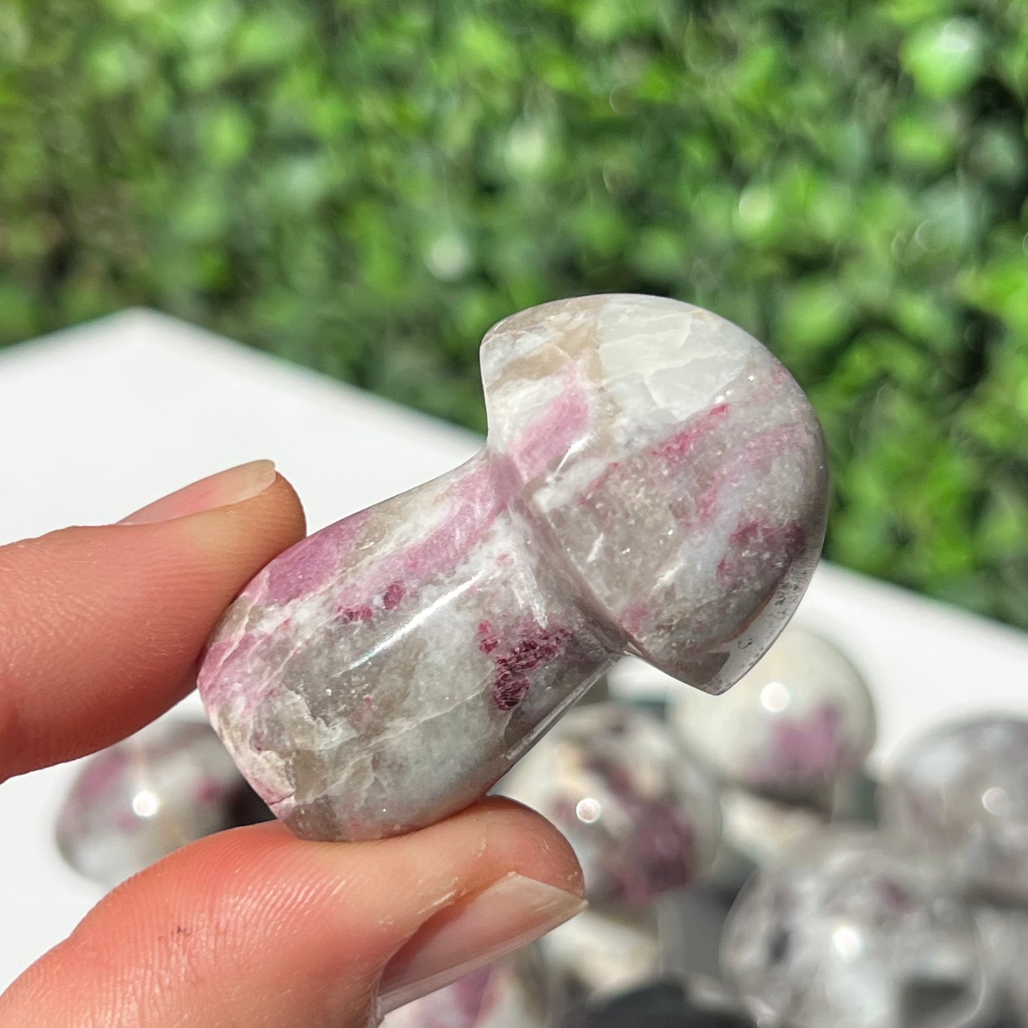 Eudialyte Rubellite Small Mushroom’s