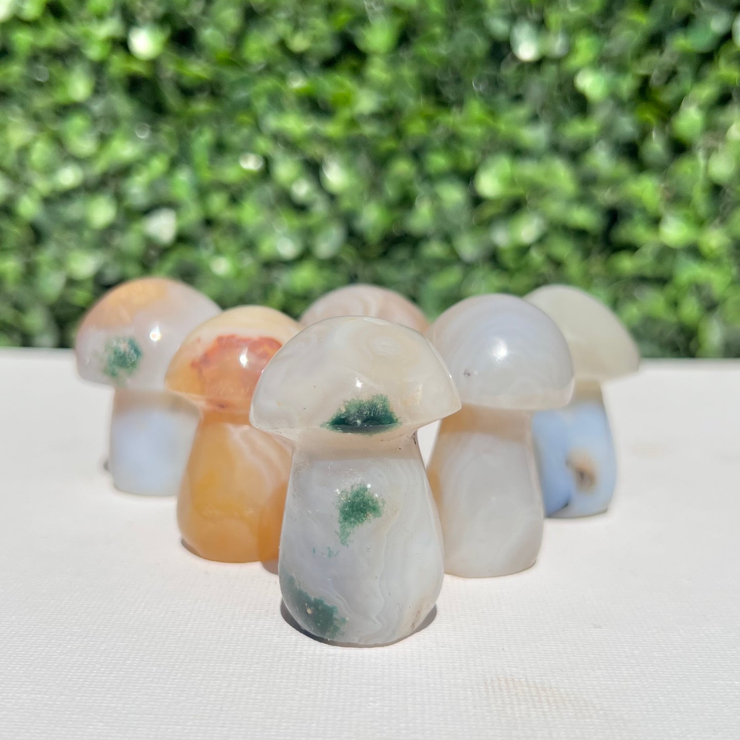 Agate Small Mushroom’s