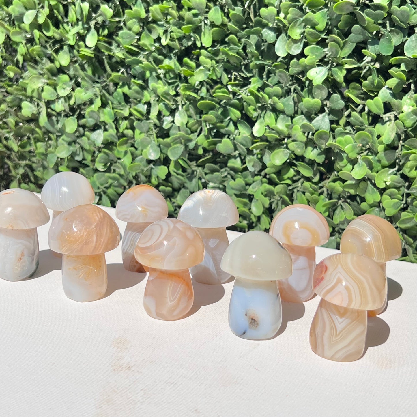 Agate Small Mushroom’s